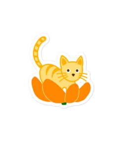 orange cat