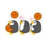 basketball penguins